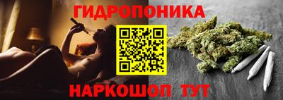 ECSTASY Камышлов