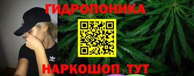 ECSTASY Камышлов